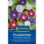 Prunkwindensamen Morning Glory Mischung
