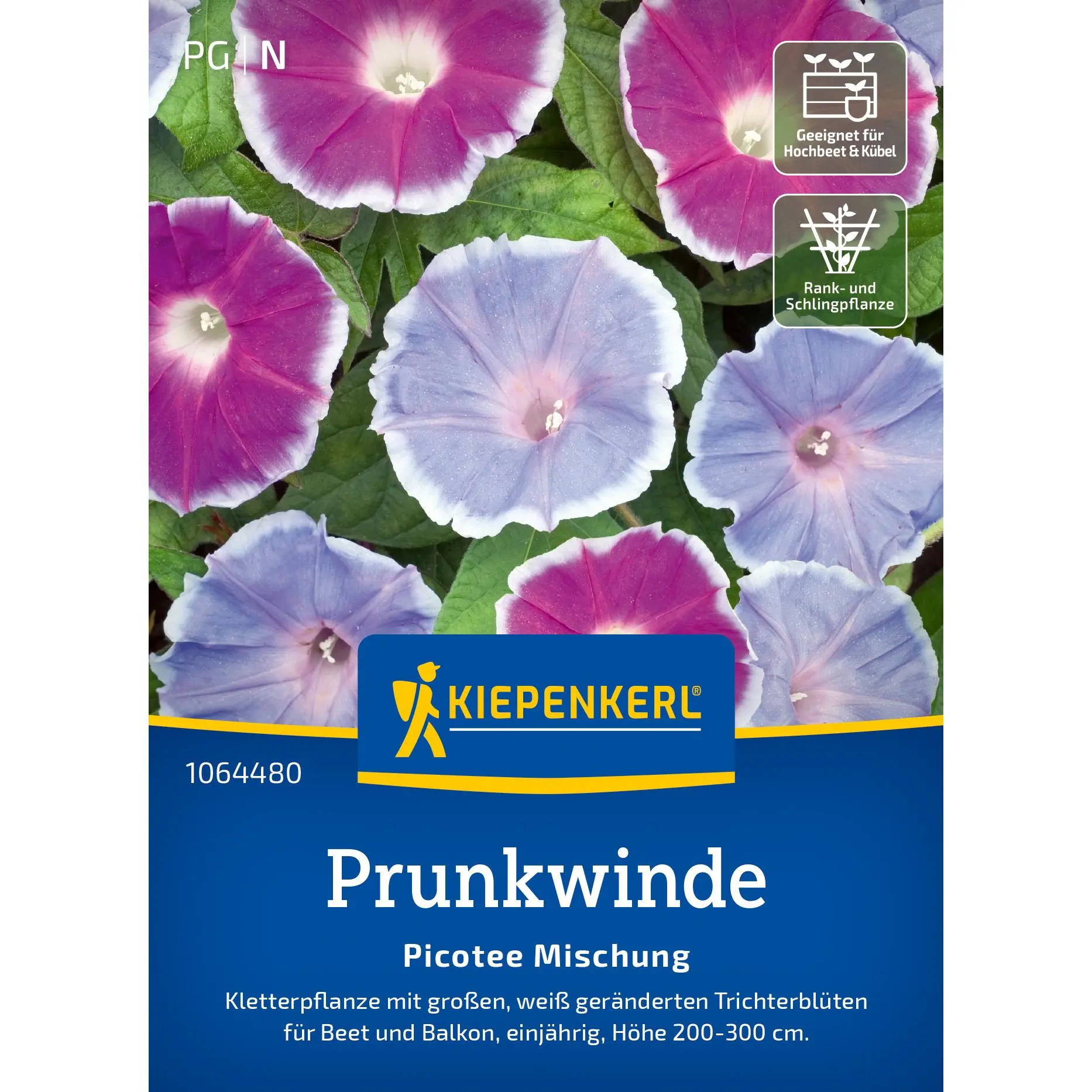Prunkwindensamen Picotee Mischung 1 Kiepenkerl Prunkwinde Picotee Mix, bunte Blütenpracht für Garten und Balkon, ideal zur kreativen Begrünung.