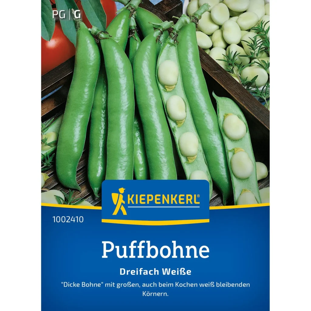 Kiepenkerl Puffbohne Dreifach Weisse, robust und ertragreich, ideal für gesundes Gärtnern im eigenen Garten.