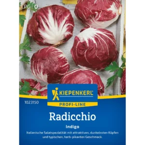 Radicchiosamen Indigo