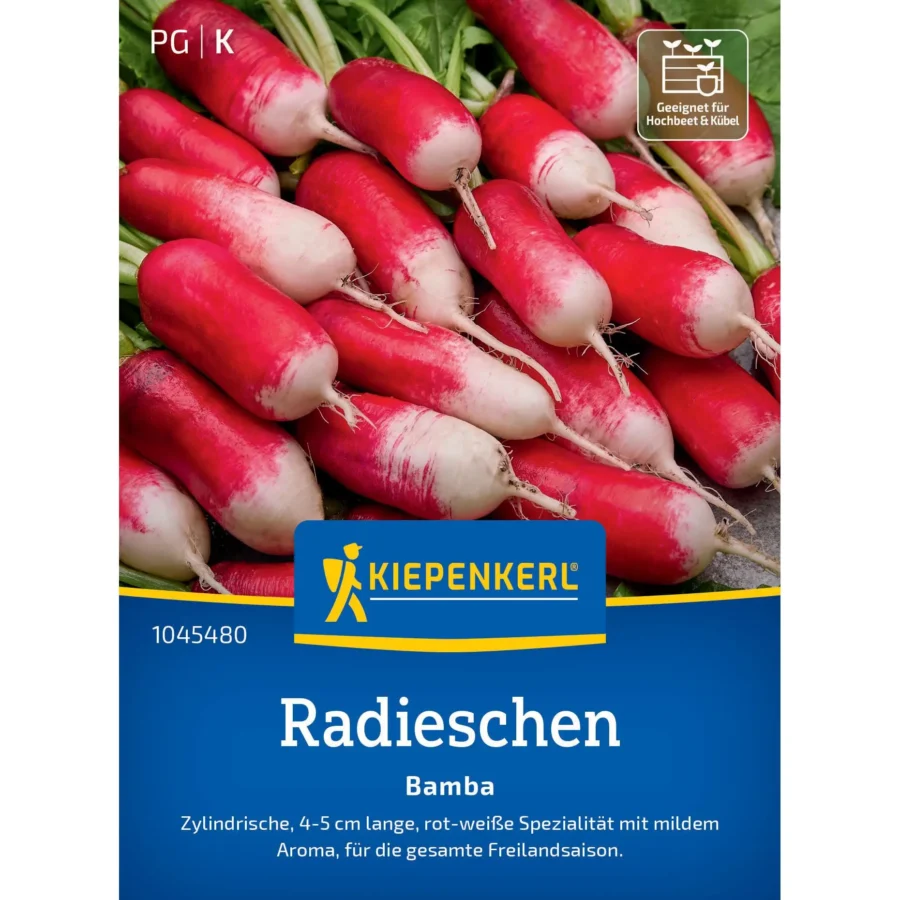 Kiepenkerl Radieschen Bamba, schnell wachsende, knackige Radieschensorte, ideal für frischen Salat oder als Snack, 200 Samen.