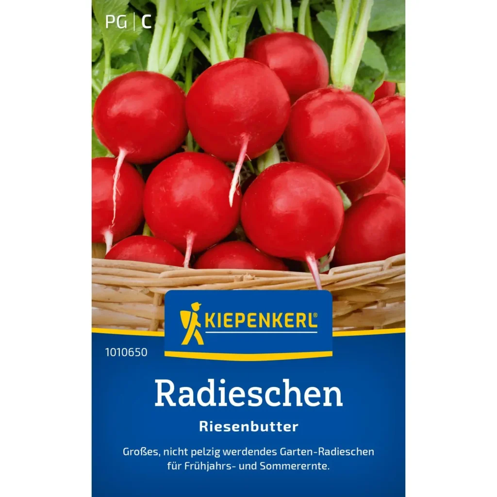 Kiepenkerl Radieschen Riesenbutter, inklusive Premium-Saatgut für ertragreiche Ernte, ideal für Gemüsegärten & Hochbeete.