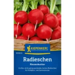 Radieschensamen Riesenbutter