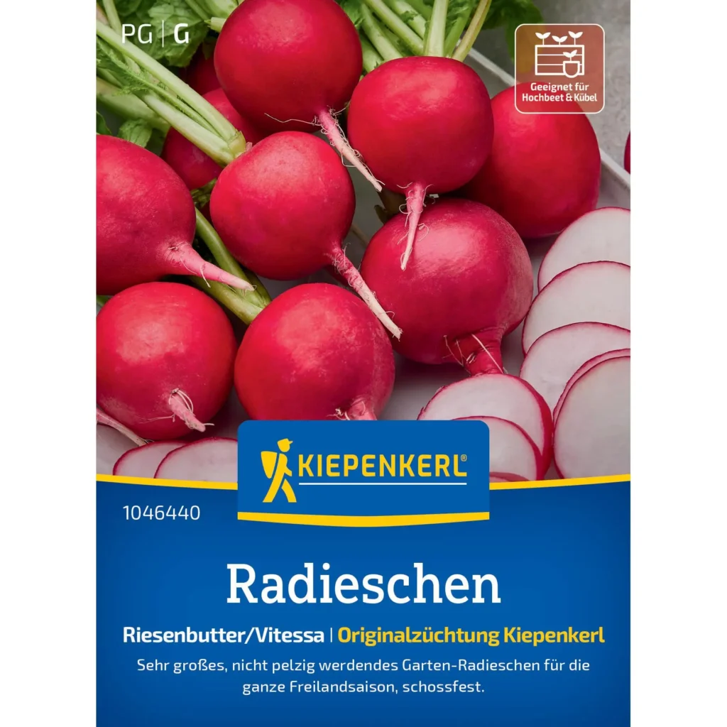 Kiepenkerl Radieschen Riesenbutter Vitessa, knackiges, schnell wachsendes Gemüse für frische Salate, 500 Samen, ideal für Hobbygärtner.