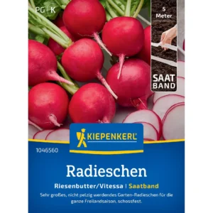 Radieschensamen Riesenbutter/Vitessa