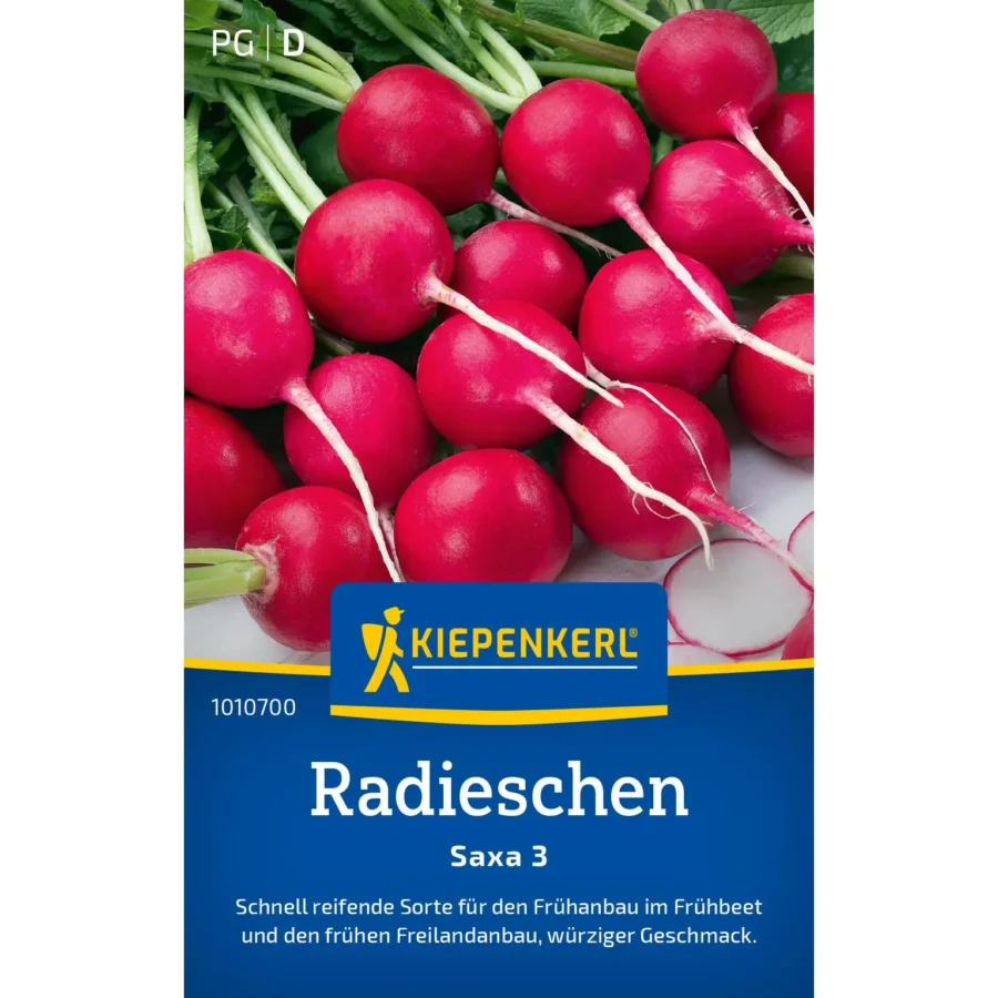 Kiepenkerl Radieschen Saxa 3, schnell wachsend, knackig und rot, ideal für frische Salate im heimischen Garten.