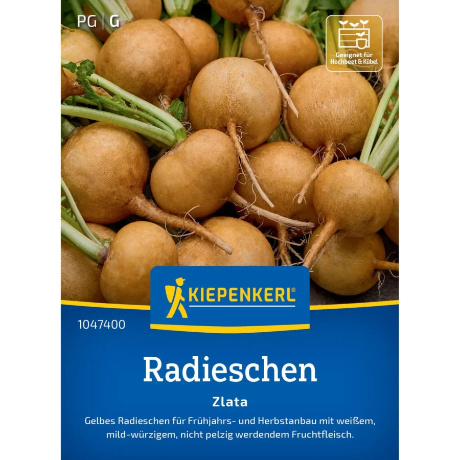 Kiepenkerl Radieschen Zlata, knackig und vitamiinfrei, ideal für frühe Ernte im Garten, stark und resistent gegen Schädlinge.