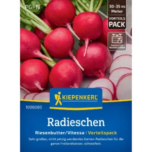 Radieschensamen Riesenbutter/Vitessa