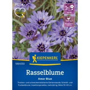 Rasselblumensamen Amor Blue
