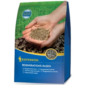 Regenerations-Rasensamen, 0,25 kg