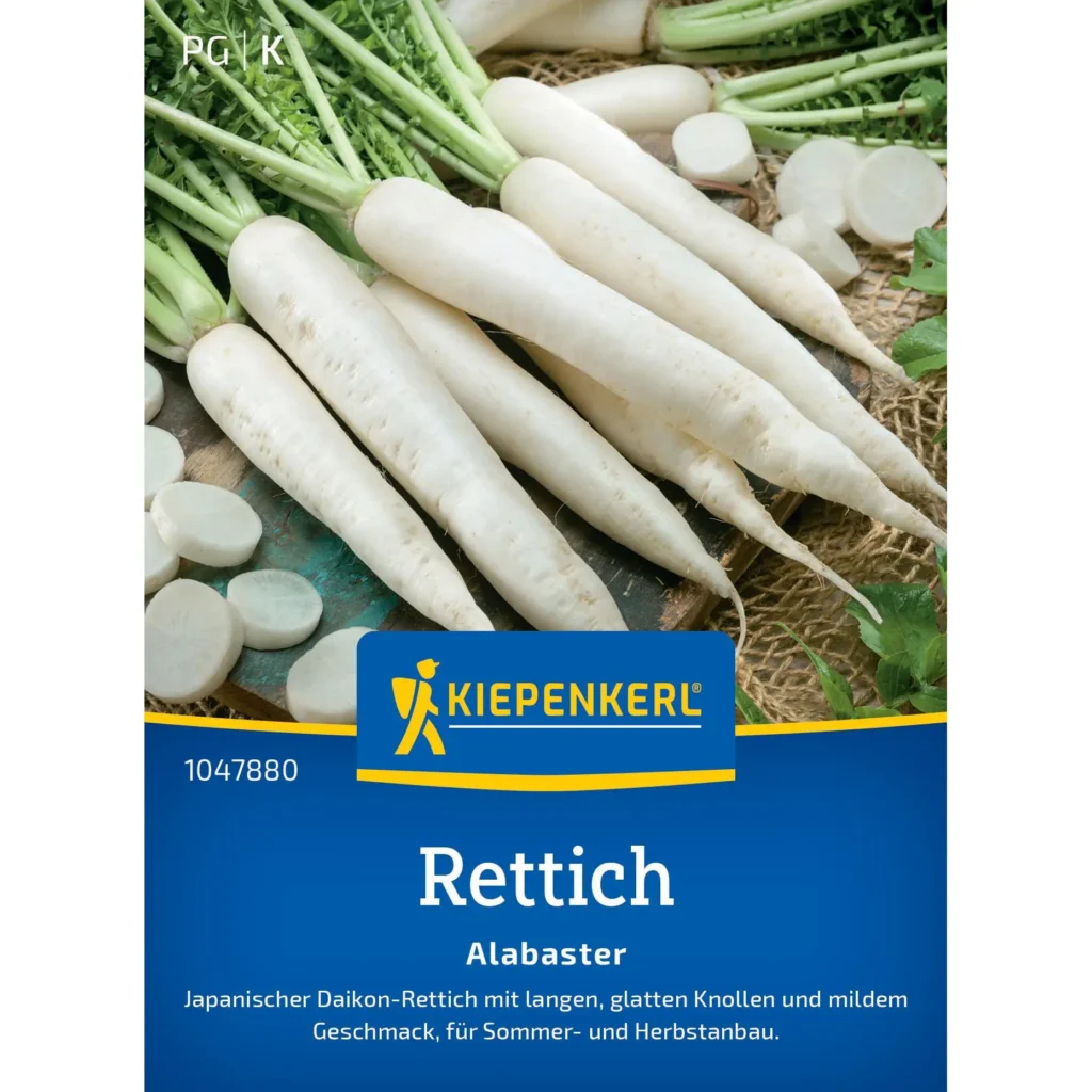 Kiepenkerl-Rettich Alabaster F1, weißer, knackiger Rettich, ideal für frische Salate und gesunde Ernährung, Hochqualitätssaatgut.