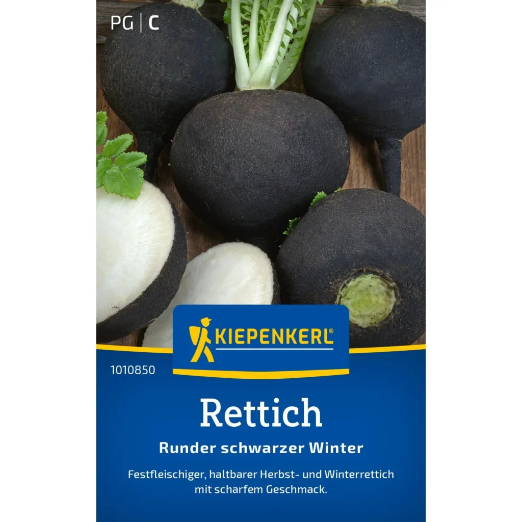 Kiepenkerl Rettich Runder schwarzer Winter, samenfest und frostbeständig, ideal für nährstoffreiche, gesunde Ernten im Garten.