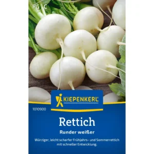 Rettichsamen Runder weißer