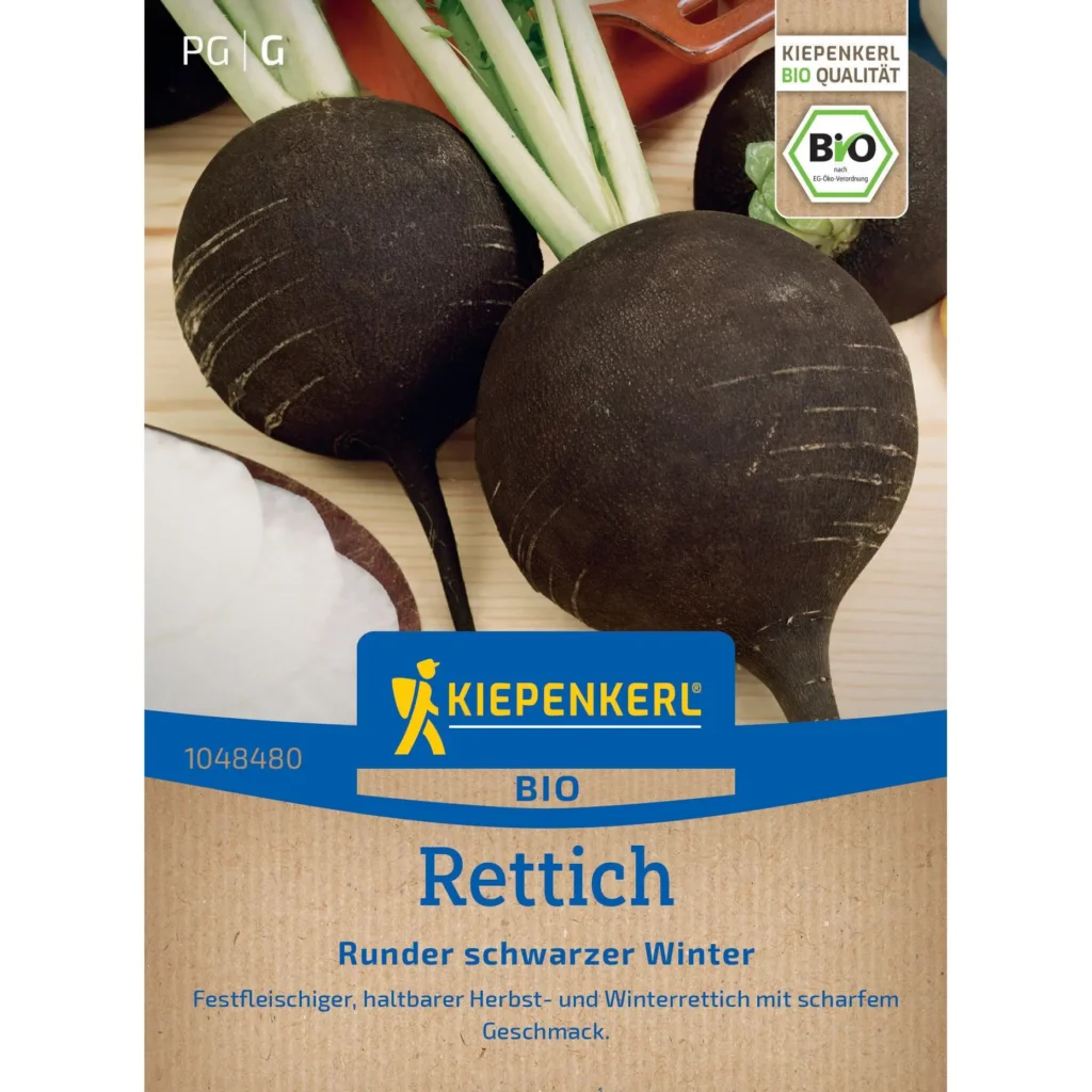 Kiepenkerl Rettichsamen Runder Schwarzer Winter, ertragreich und schmackhaft, ideal für den Anbau im Garten oder Hochbeet.