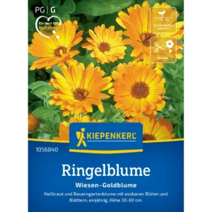 Ringelblumensamen Wiesen-Goldblume