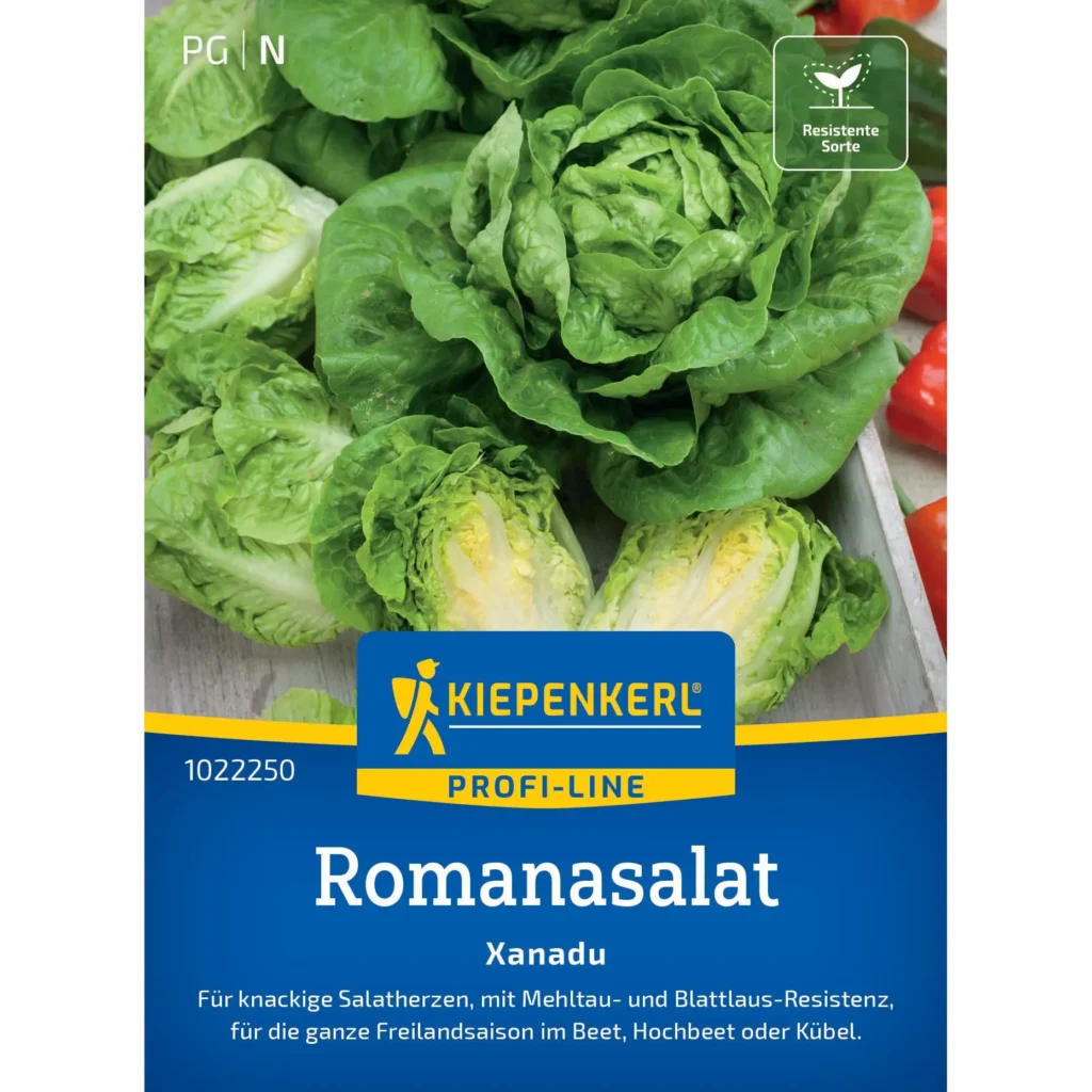 Kiepenkerl Romanasalat Xanadu, knackige Blätter, ideal für frische Salate, robust und ertragreich, Liefermenge: 1 Portion.