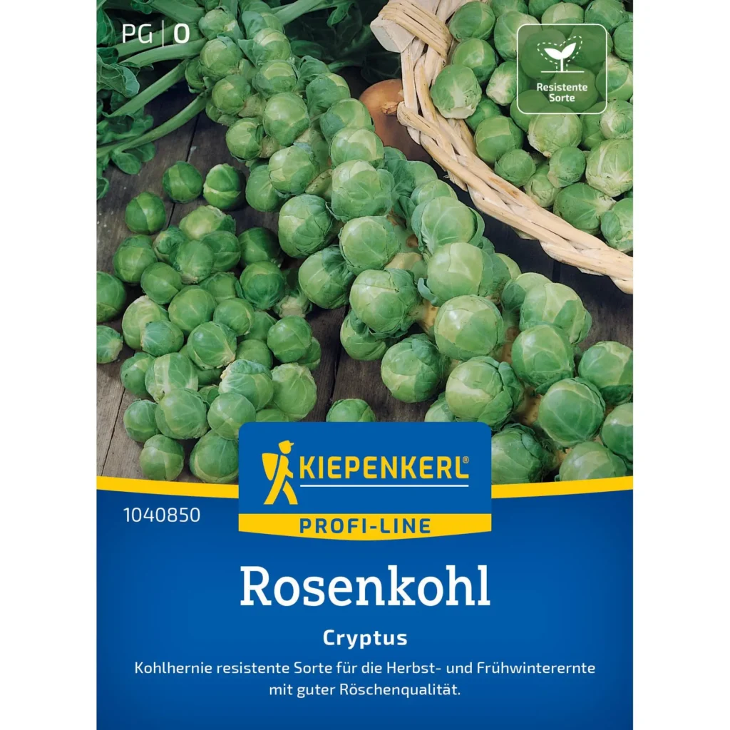 Kiepenkerl Rosenkohlsamen Cryptus, besonders robust und frostbeständig, ideal für frischen Anbau im eigenen Garten.