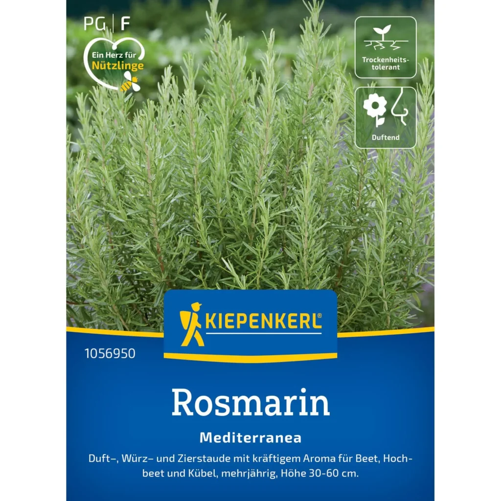 Kiepenkerl Rosmarin Mediterranea, aromatische Küchenkräuter, ideal für mediterrane Gerichte, robust und pflegeleicht.