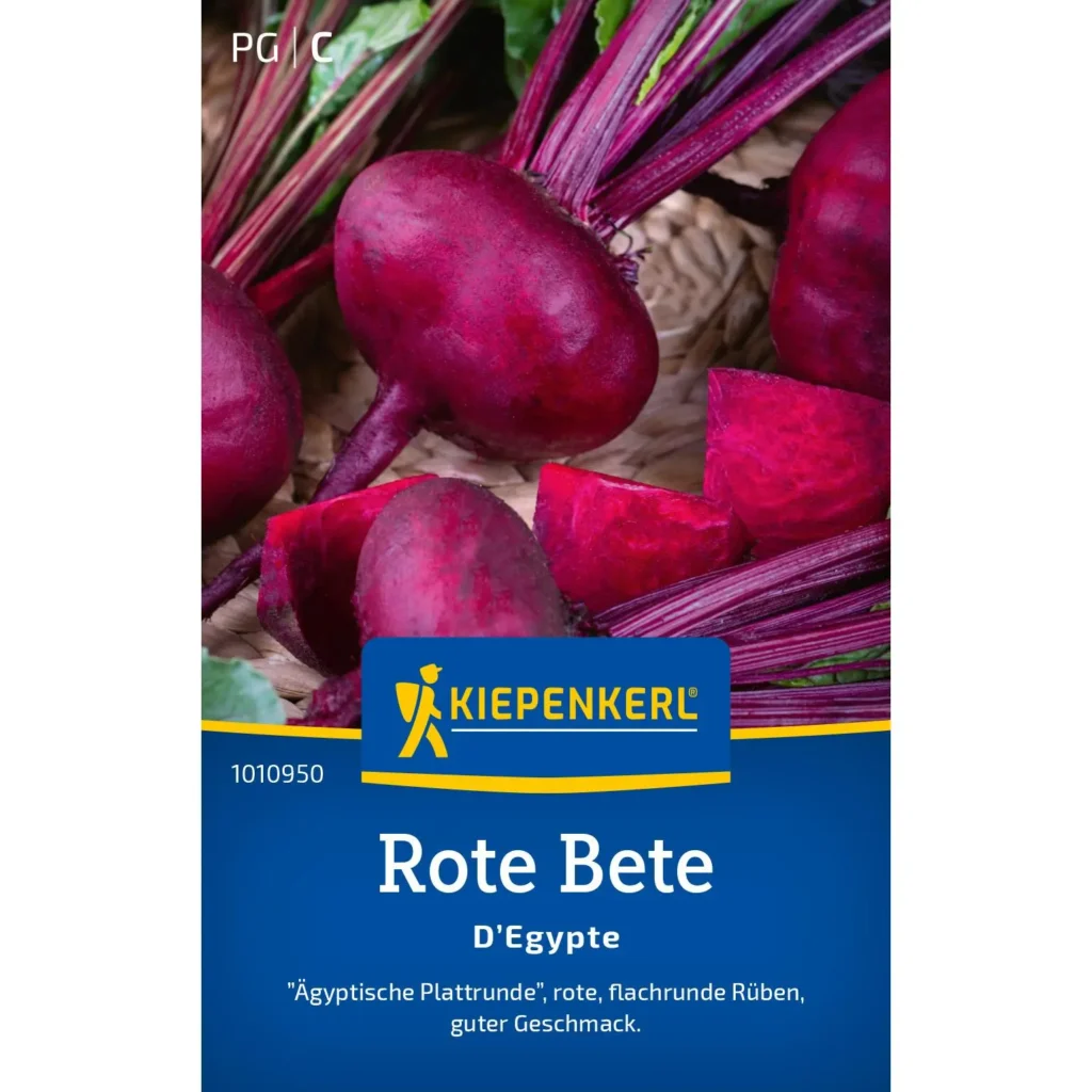 Kiepenkerl Rote Bete DEgypte, aromatische, samenfeste und robuste Rübe, perfekt für nährstoffreiche Böden und gesundes Gemüse.