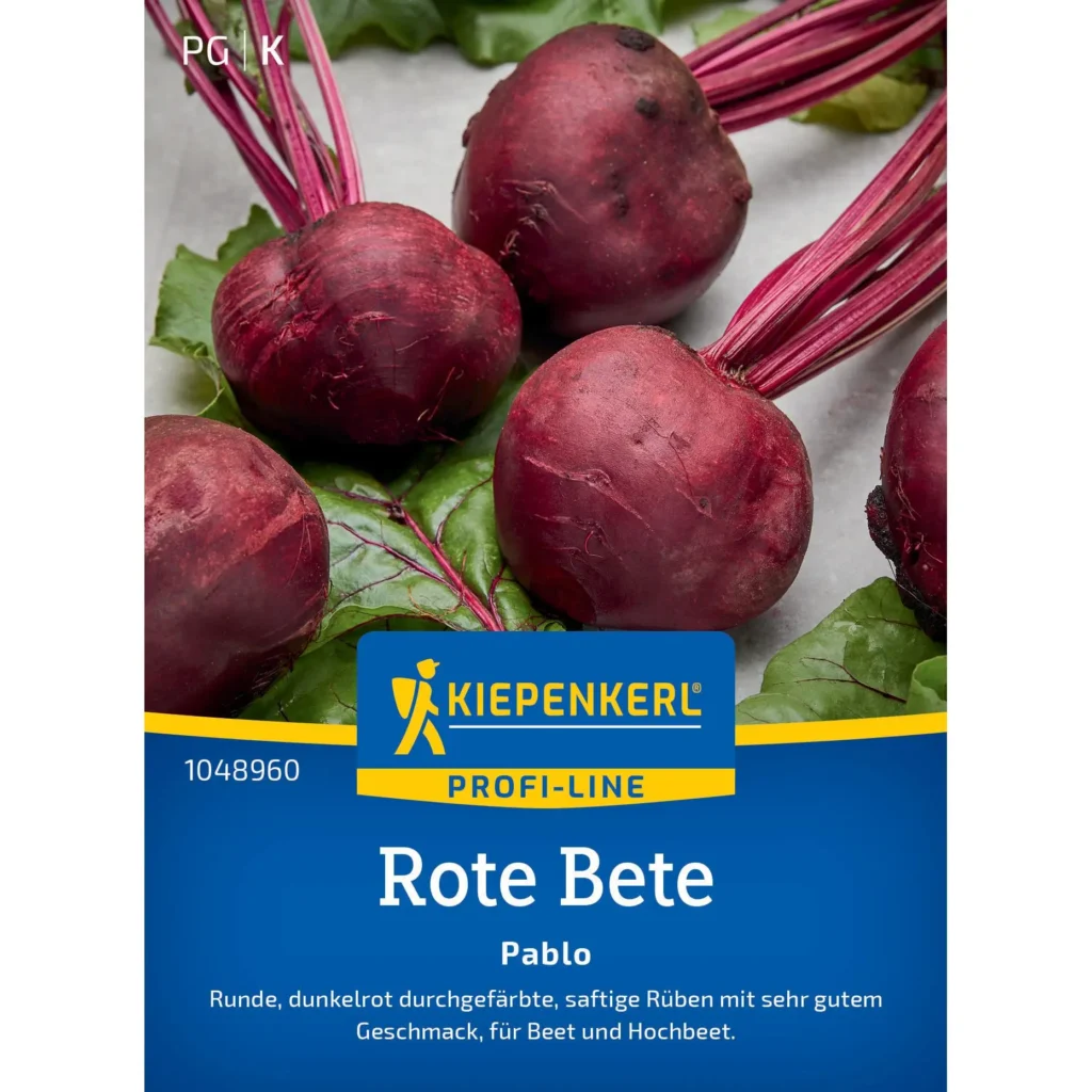 Kiepenkerl Rote Bete Pablo F1, samenfest, hohe Erträge und robust im Anbau – ideal für frische Gemüsefelder oder Hochbeete.