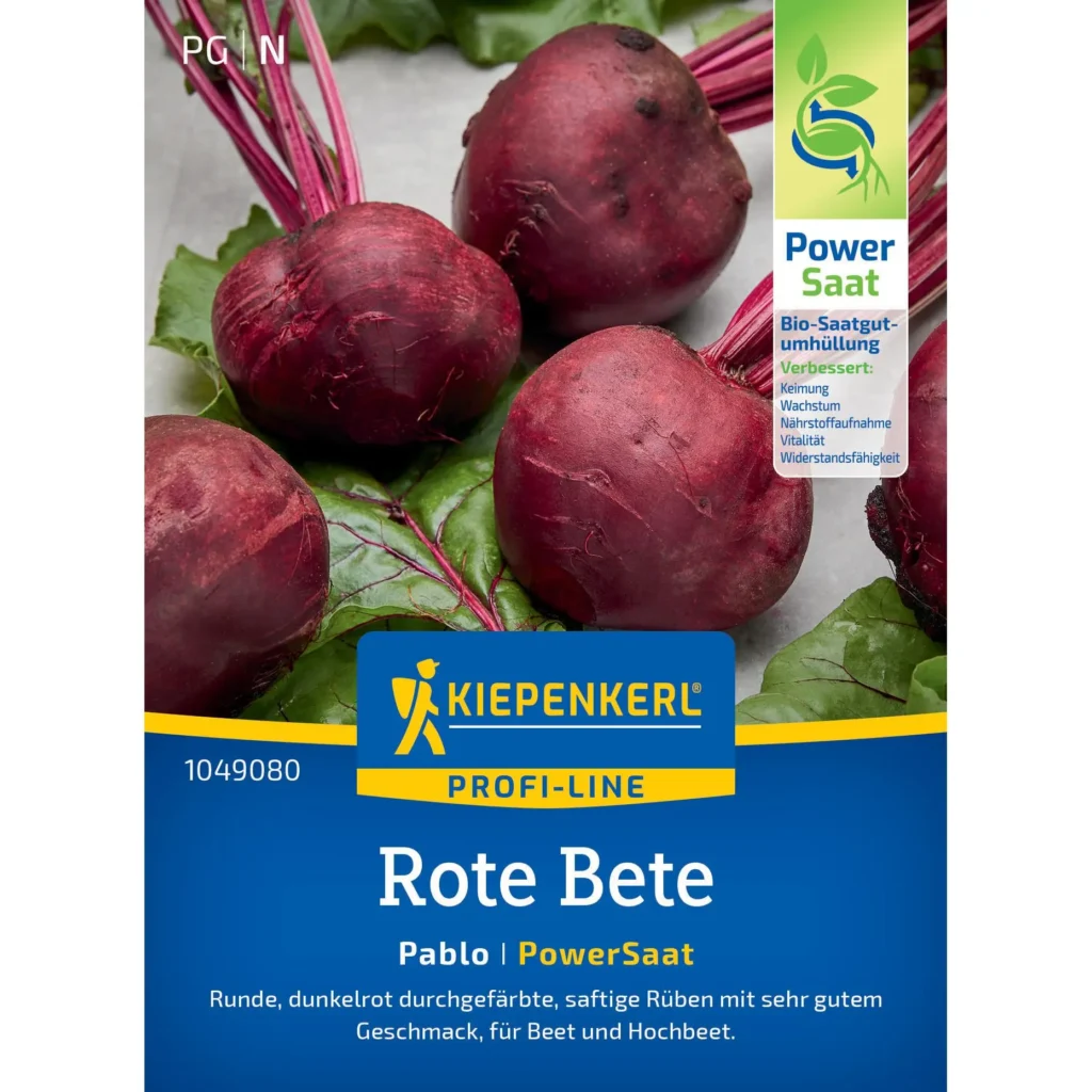 Kiepenkerl Rote Bete Pablo F1, samenfeste Vielfalt, perfekt für ertragreiche Ernten, robust und einfach anzubauen.