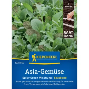 Asia-Salatsamen Spicy Green Mischung
