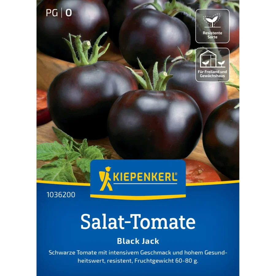 Kiepenkerl Salat-Tomate Black Jack F1, fruchtiger Geschmack, robust und ertragreich, ideal für Balkon und Garten, hohe Widerstandsfähigkeit.