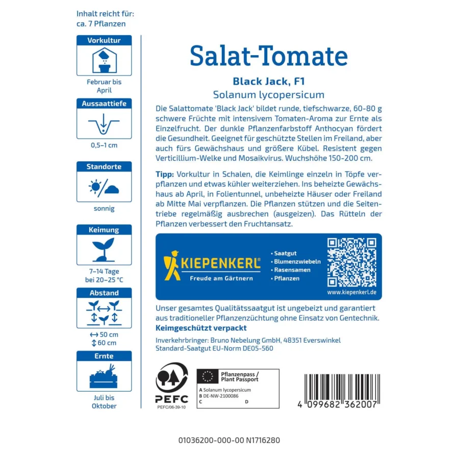 Kiepenkerl Salat-Tomate Black Jack F1, aromatische schwarze Früchte, ideal für sonnige Gärten, resistent gegen Krankheiten.