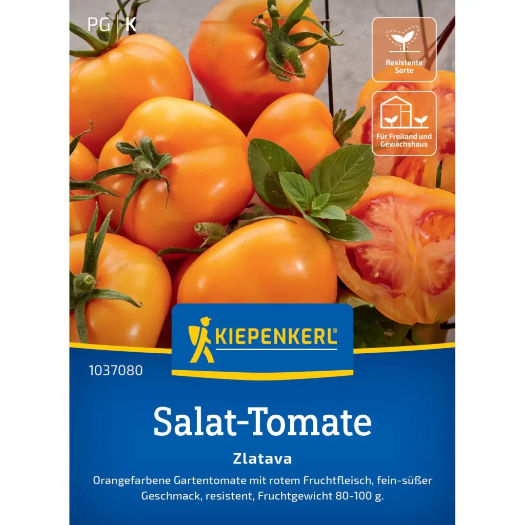 Kiepenkerl Salat-Tomate Zlatava, aromatische, ertragreiche Pflanze, ideal für Gemüsegärten und Balkone, robust und pflegeleicht.