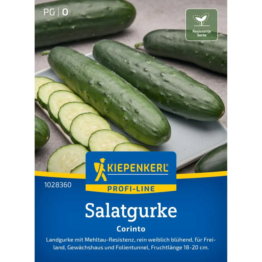 Kiepenkerl Salatgurke Corinto F1, robust und ertragreich, ideal für frische Salate, aromatisch, hochwüchsig, perfekte Ernte für Garten und Balkon.