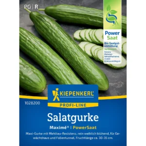 Salatgurkensamen Maximé®