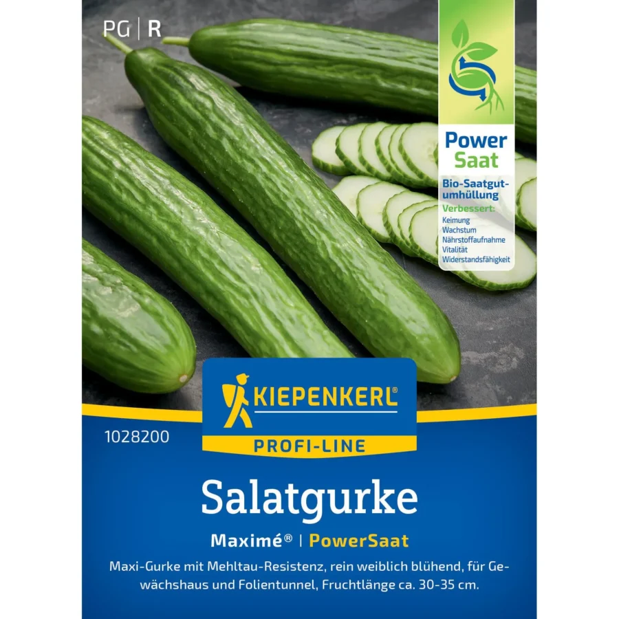 Kiepenkerl-Salatgurke Maxime® F1, robust und ertragreich, ideal für nachhaltigen Anbau im eigenen Garten.