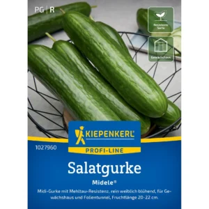 Salatgurkensamen Midele®