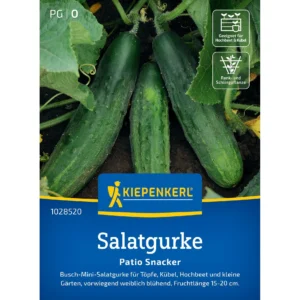 Salatgurkensamen Patio Snacker