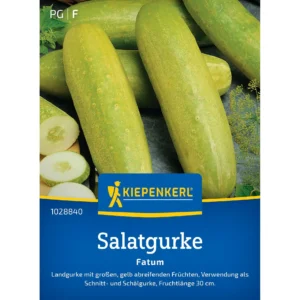 Salatgurkensamen Fatum