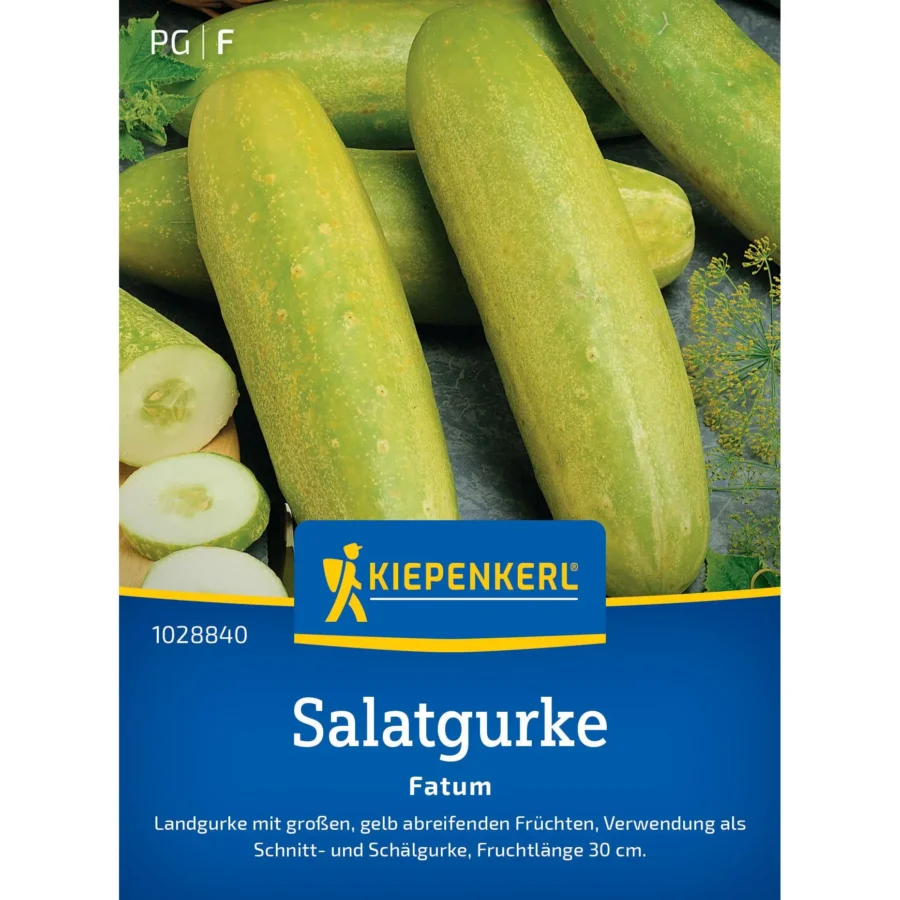 Kiepenkerl Salatgurkensamen Fatum, ertragreich und schmackhaft, ideal für gesunde Gartenküchen.