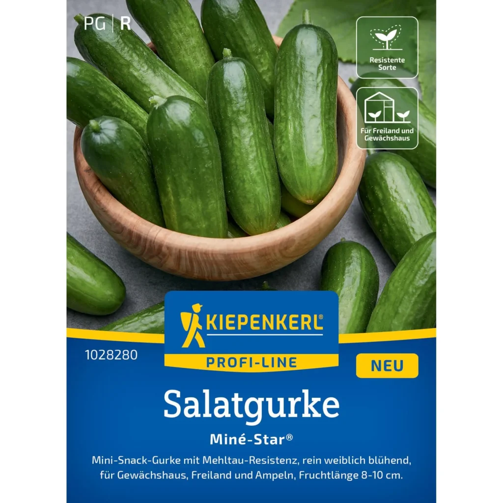 Kiepenkerl Salatgurkensamen Mine Star®, ertragreiche und schmackhafte Sorte, ideal für Balkon und Garten, sortenrein, 10 g.