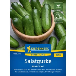 Salatgurkensamen Miné-Star®