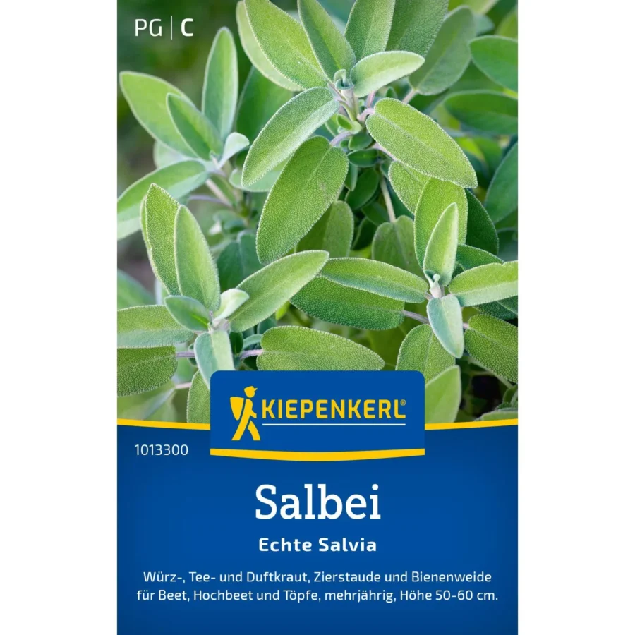 Kiepenkerl Salbei Echte Salvia, aromatische Kräuterpflanze, perfekt für Garten und Balkon, blühend, pflegeleicht.