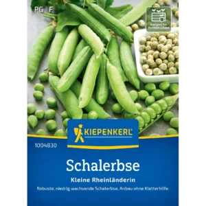 Schalerbsensamen Kleine Rheinländerin
