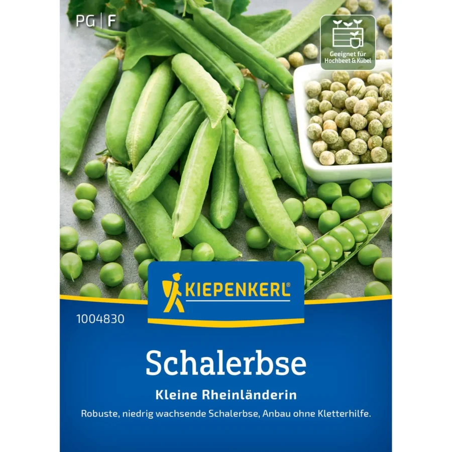 Kiepenkerl Schalerbse Kleine Rheinländerin, zarte Erbsensorte ideal für heimischen Garten, reich an Vitaminen und ballaststoffreich, 500g.