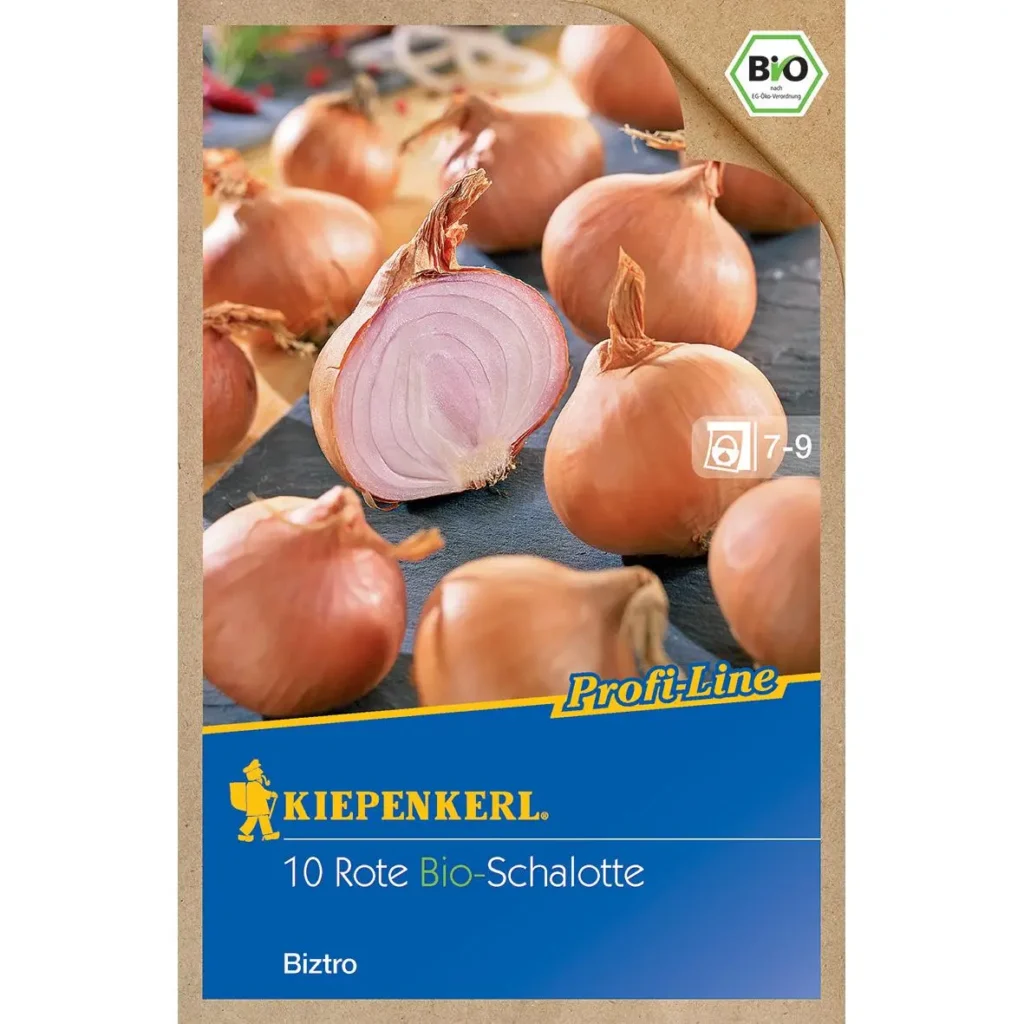 Kiepenkerl Schalotte BIO Biztro, ertragreiche, geschmackvolle Zwiebel, ideal für gesundes Gärtnern im eigenen Garten oder Hochbeet.