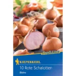 Schalotten Biztro 10 St.