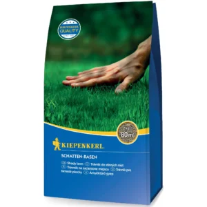 Schatten-Rasensamen, 2 kg