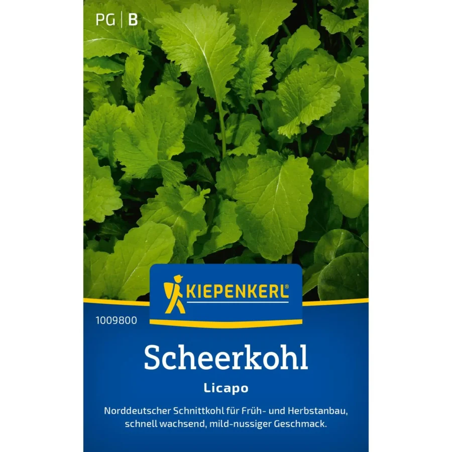 Kiepenkerl Scheerkohl Licapo, nährstoffreicher Wintergemüse-Samen, ideal für gesunde Ernten in der kalten Jahreszeit.