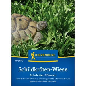 Schildkrötensamen-Mischung Grünfutter-Pflanzen