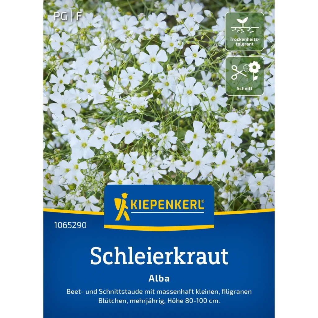 Kiepenkerl Schleierkrautsamen Alba, attraktive weiße Blüten, ideal für Gartenbeete und Balkon, fördert Artenvielfalt.