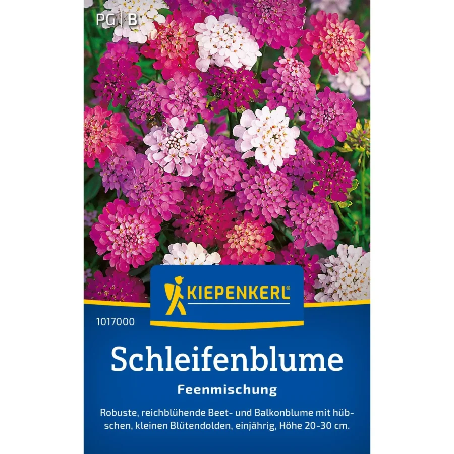 Kiepenkerl Schleifenblumesamen Feenmischung, fröhliche Farben für zauberhafte Gartenakzente, ideal für Pflanzkästen und Beete.