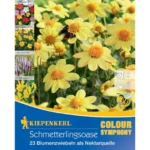 Schmetterlingsoase