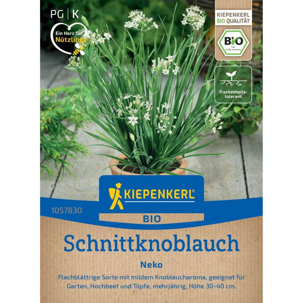 Kiepenkerl Schnittknoblauchsamen Neko, ideal für aromatischen Anbau im Garten, vielseitig verwendbar und reichhaltig an Geschmack.